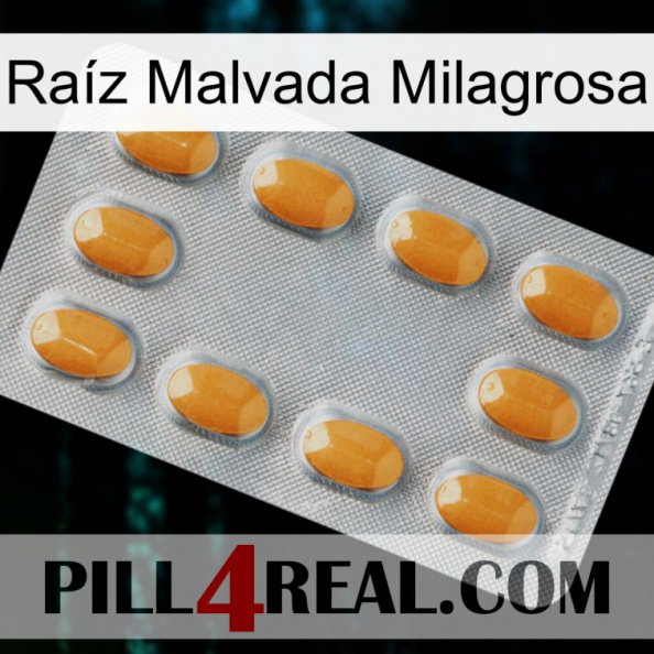 Raíz Malvada Milagrosa cialis3.jpg